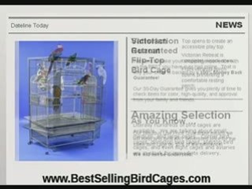 Got Parrot Cage Questions?