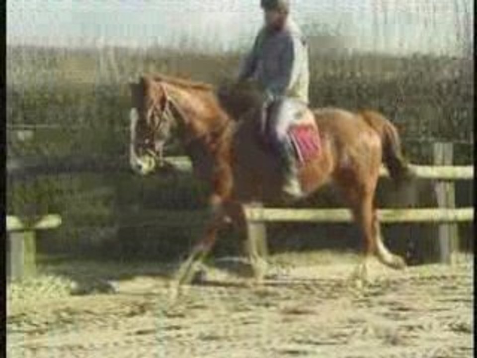 Princedathon