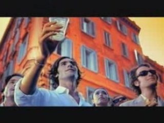 Spot Martini Sunflower 2006