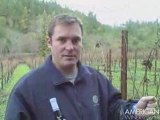 Waugh Cellars: The Vines behind the Wines