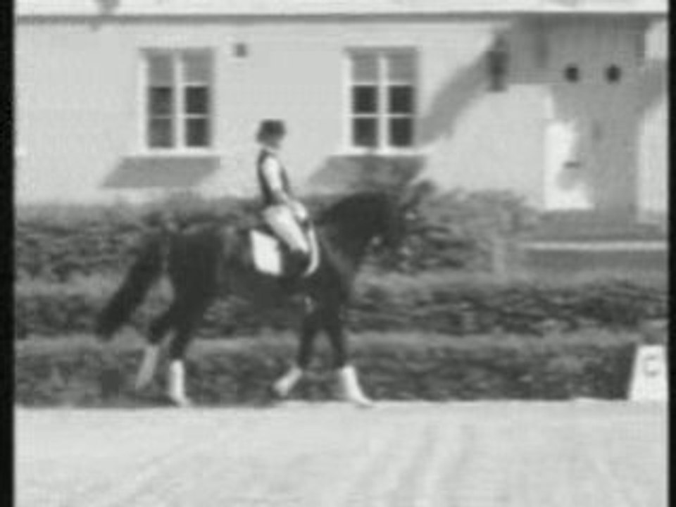 ♥ Du  Dressage ♥