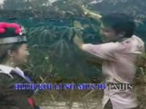 103 KOJ ZOO NTXIM KUV LUB SIAB