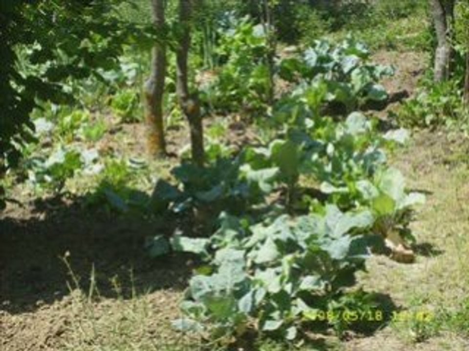 Bartın Kumluca Kumlucadan Manzaralar