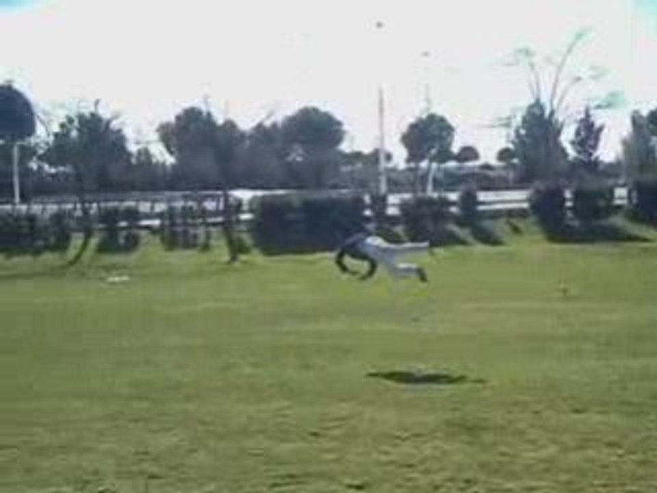 Combo Spark