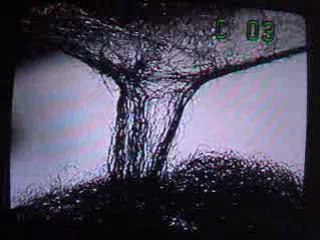 How to Remove 8 Month Old Matted Hair Extension Braids-Step4