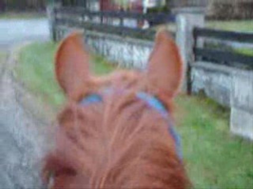 Balade avec quero milèna et neptune