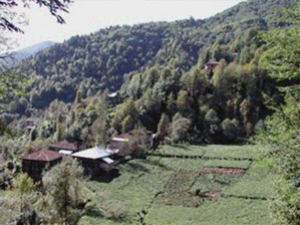 çamlıhemşin-tulum-dindar -güner-6-kavrun.tr.gg