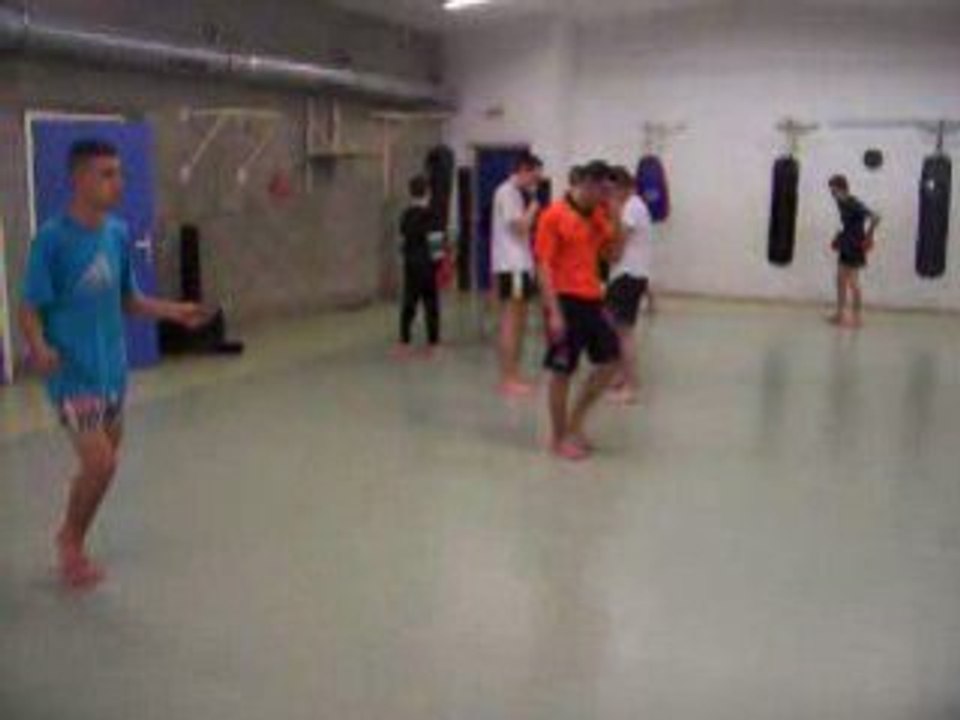 team domingos