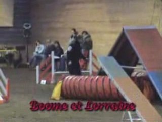 Concours Tichemont 09 - Epreuve G.P.F.