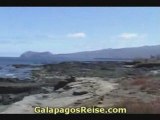 Galapagos Cruises Video at night