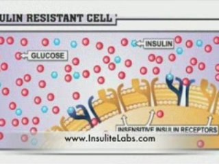 Diabetes Nutrition - How to Crave Food That's Good for You!