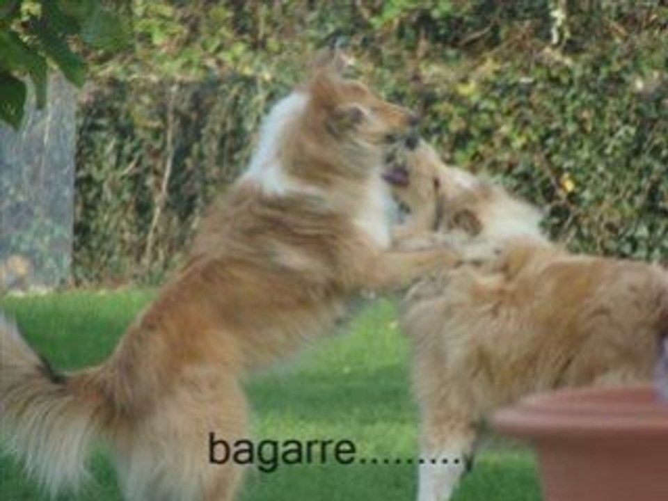 Vidéo pour mamounette