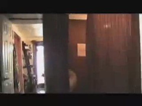 Airbrush Tanning Tampa - Spray Tanning Tampa