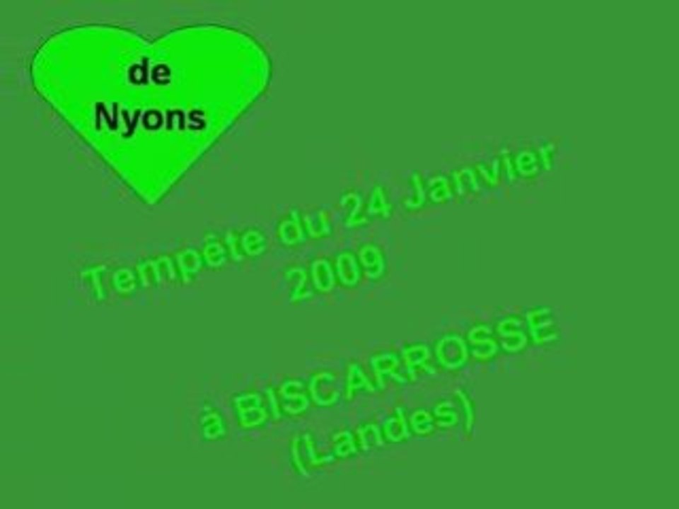 Tempête 2009 à Biscarrosse (Landes)