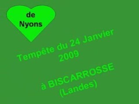 Tempête 2009 à Biscarrosse (Landes)