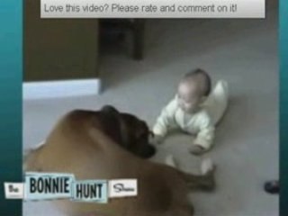 Bébé fait ami avec le chien