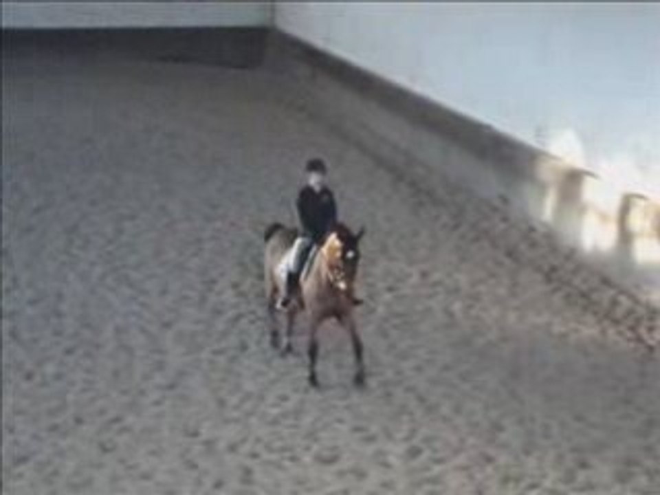 Repet' de la reprise de dress g7 avec Green