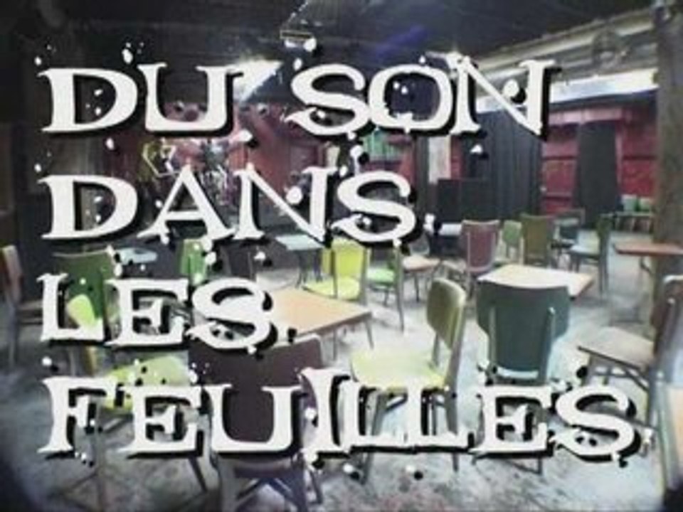 Partie 3 - Festival Du Son dans les feuilles - Edition 1