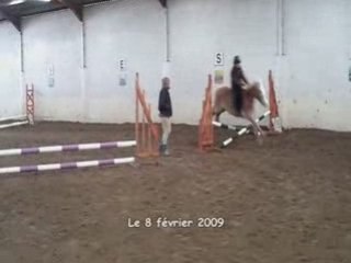 Concours du 08.02.09 (Kiwi et Jérico)
