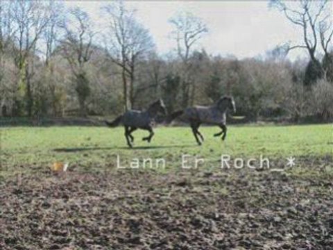 Lann Er Roch Samedi 7 février 2009