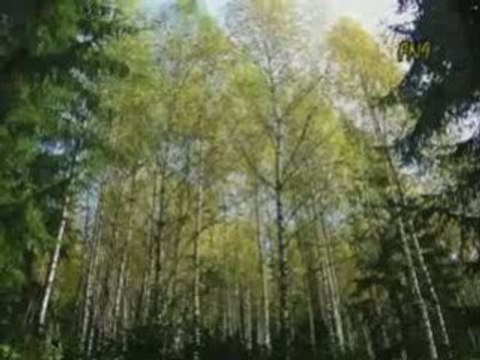 България над всичко