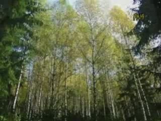 България над всичко