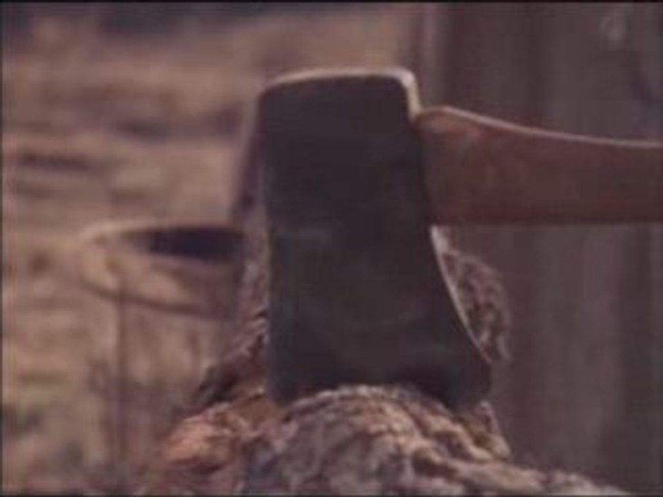 La petite maison dans la prairie