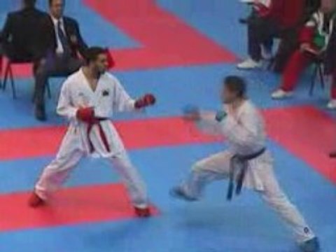 Championnat d'Europe de karaté Paris 30 janvier 2009