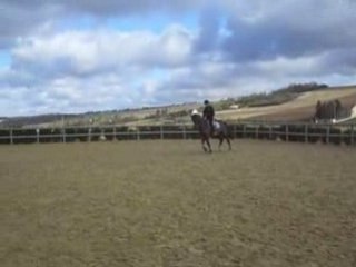 Philou avec moi 120209 (2)