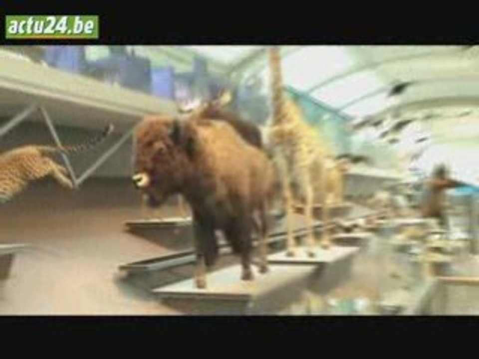 Actu24 - Visite du Musée des Sciences naturelles