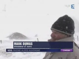 Une Ourse Polaire dans le Sancy