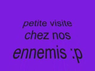 Visite chez les ally