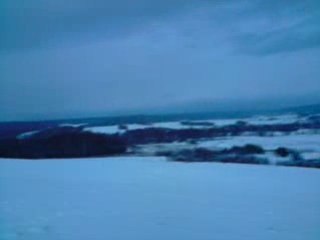 Le haut bois sous la neige 12-02-09 17h56