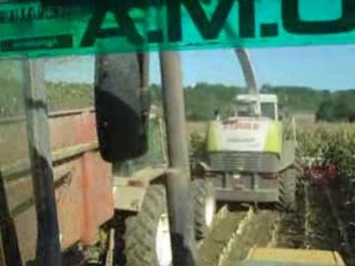 ensilage jaguar