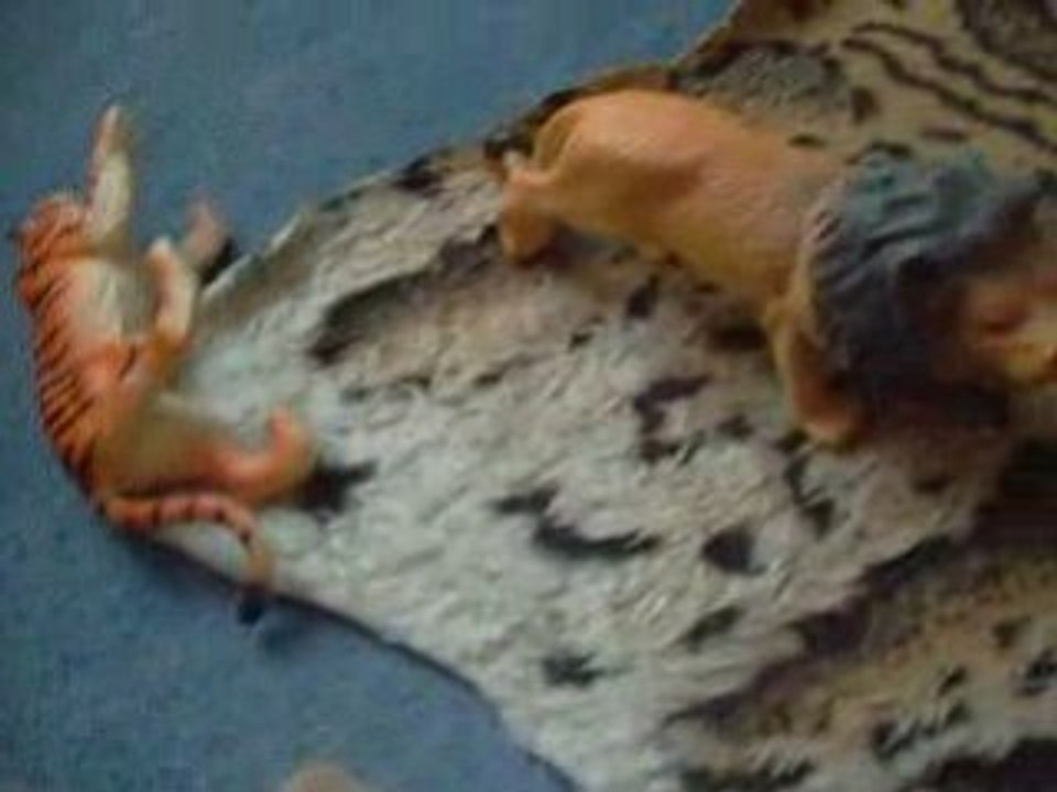 le territoire du tigre