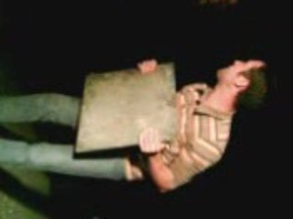 lever de planche a palets par job