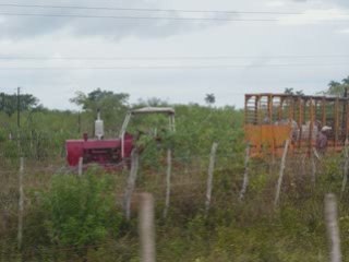 CUBA EN JEEP CAMPAGNE CUBAINE MATANZAS
