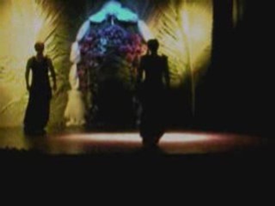 Voyages en spectacle
