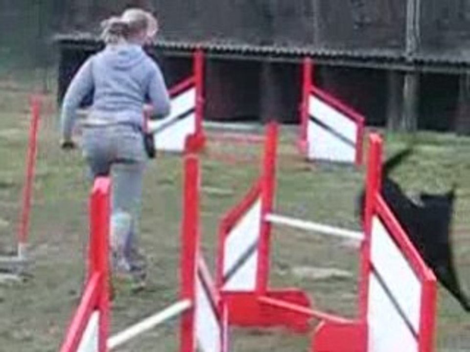 Entrainement agility Amazone 11.02.09