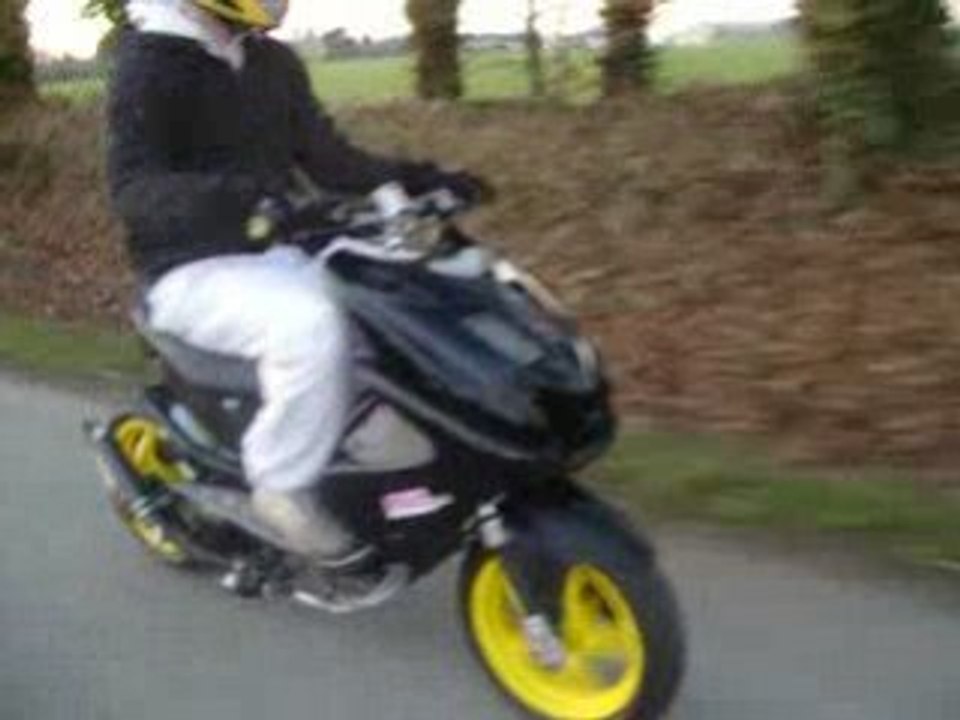 Nitro mhr team I