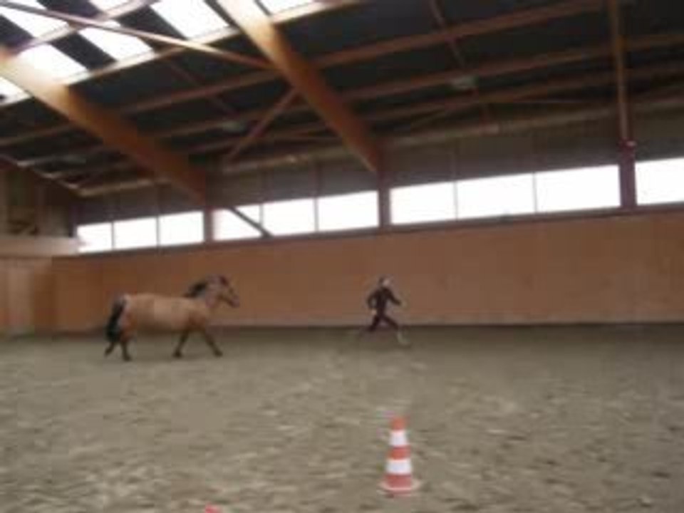dimanche 8