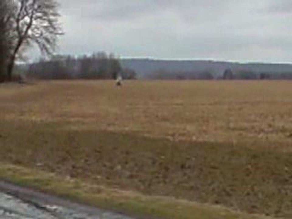 V100209_14.20