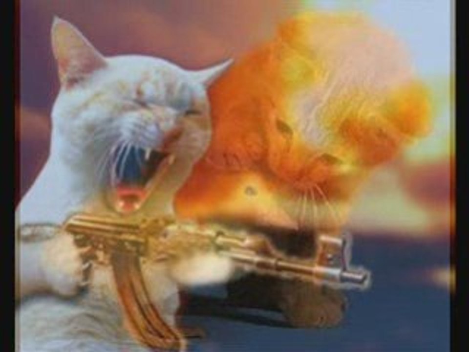 adem aydas Dıv dıv