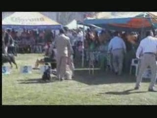 Expo Gmz Palacios Dgo 24 ene 09
