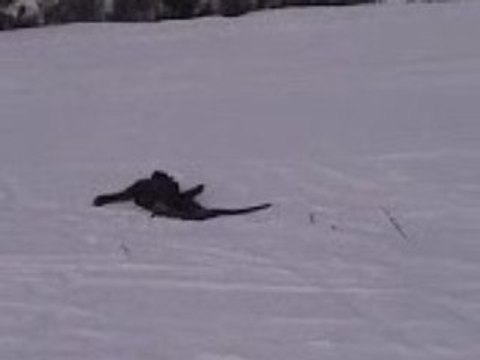 Saut en ski!! Ki se termine mal