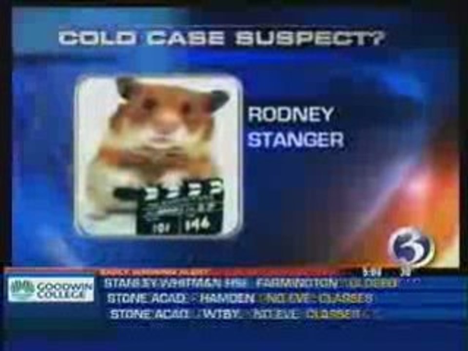 Un hamster accusé de kidnapping