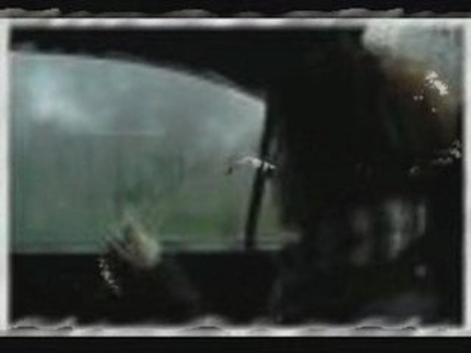 Verba -Młode Wilki 6