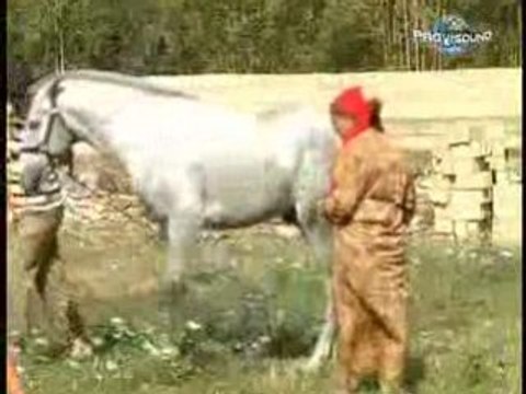 Basma4.com-5-chab-wahid-cheb-wa7id-chaabi-cha3bi