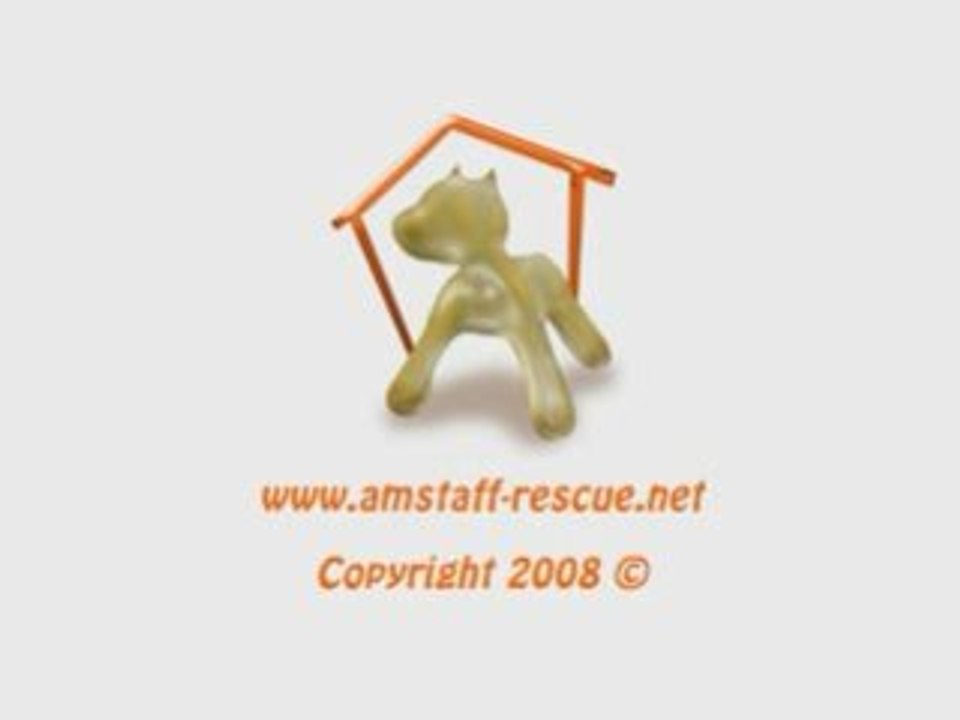 THYLLER MALE LOF 6 ANS