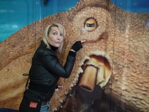 Seaquarium grau du roi 08.02.09